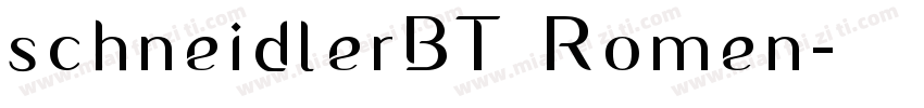 schneidlerBT Romen字体转换